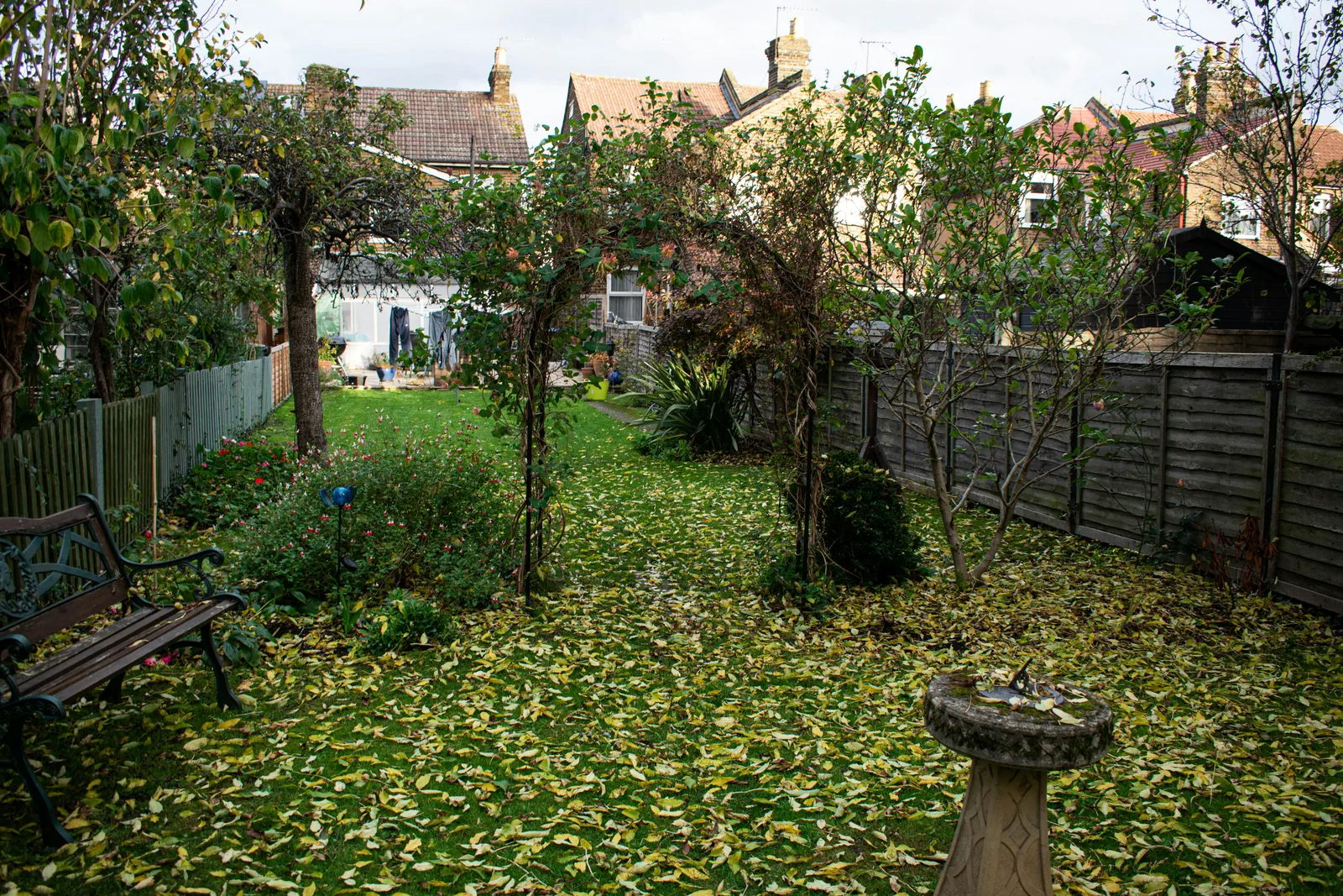 Jardin arboré entretenu au fil des saisons